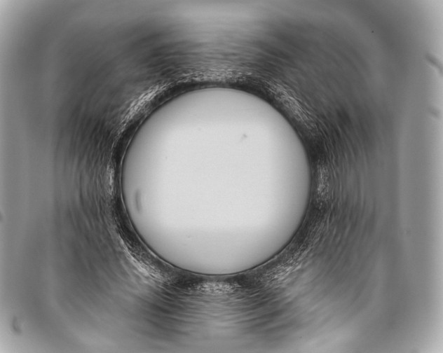 X0000096450636200802071812