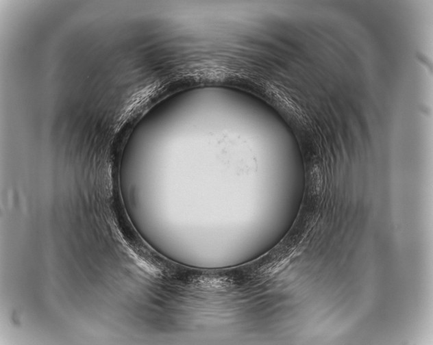 X0000096450638200802071812