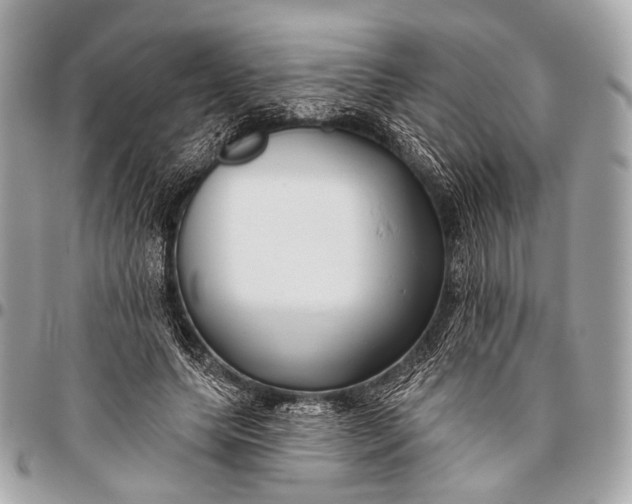 X0000096450639200802071812