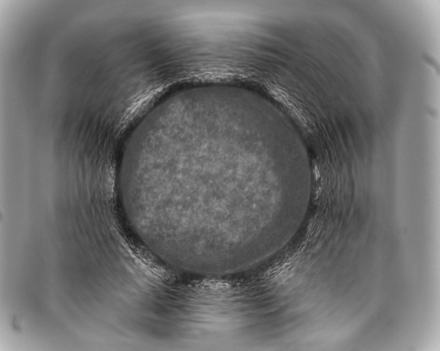 X0000096450640200802071812