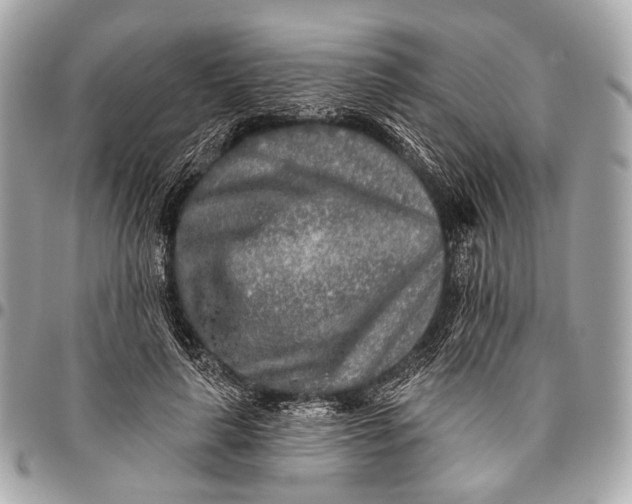 X0000096450643200802071812