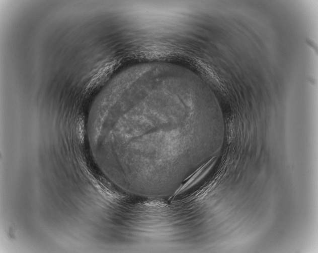 X0000096450644200802071812