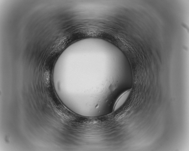 X0000096450646200802071812