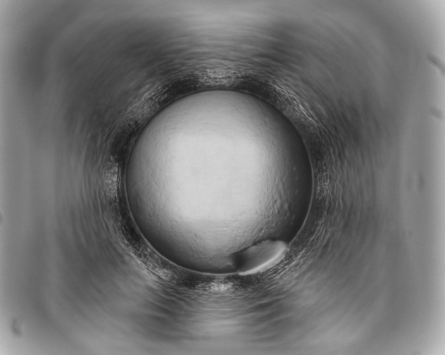 X0000096450647200802071813