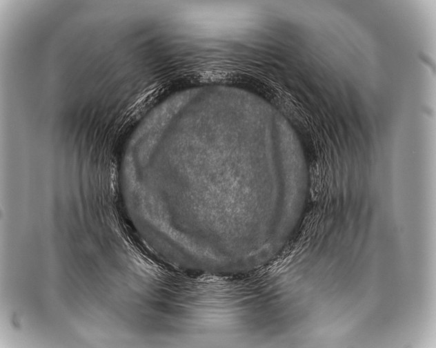 X0000096450648200802071813