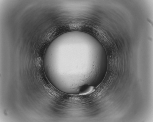 X0000096450649200802071813