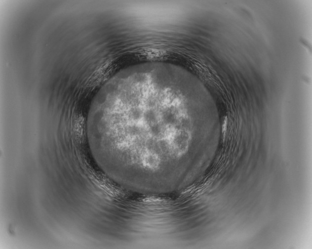 X0000096450650200802071813