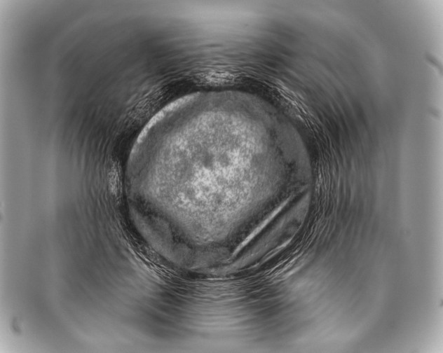 X0000096450651200802071813