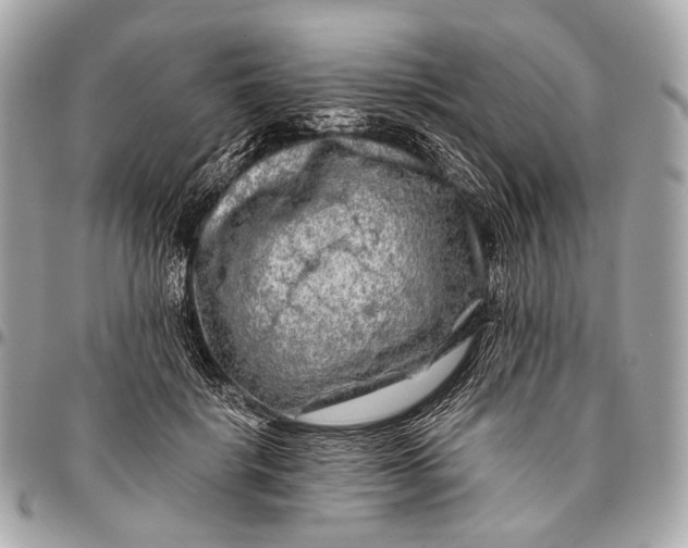 X0000096450652200802071813