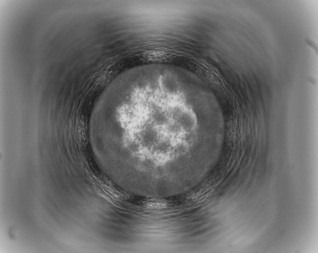 X0000096450653200802071813