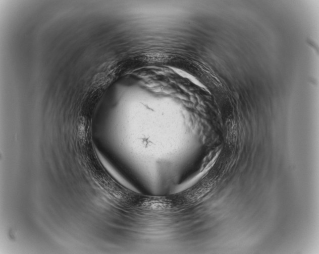 X0000096450655200802071813