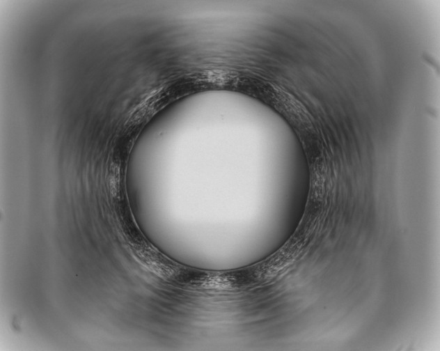 X0000096450656200802071813