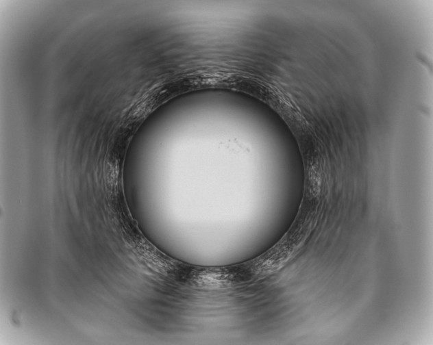 X0000096450657200802071813