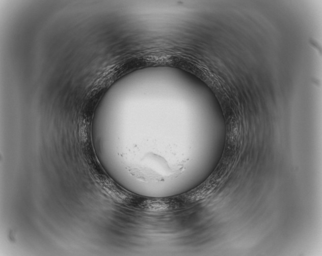 X0000096450658200802071813