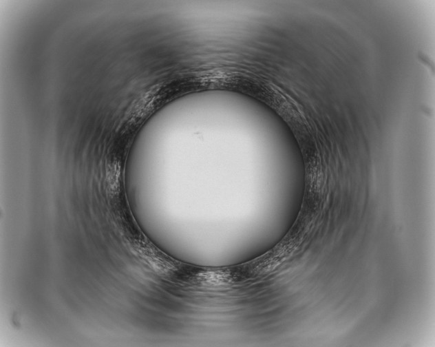 X0000096450660200802071813