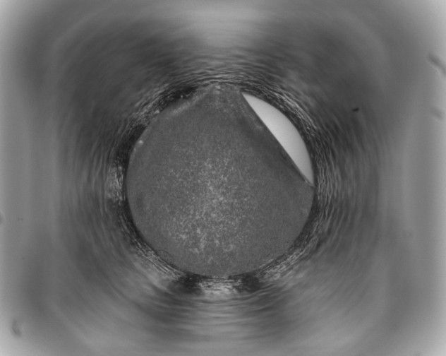 X0000096450661200802071813