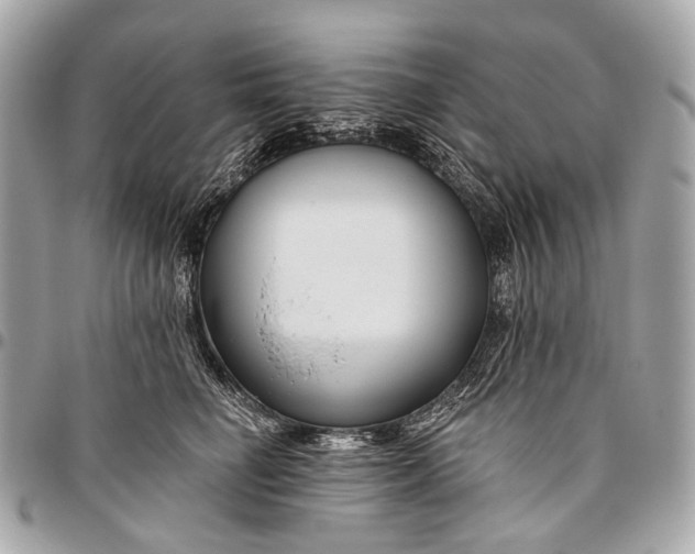 X0000096450662200802071813