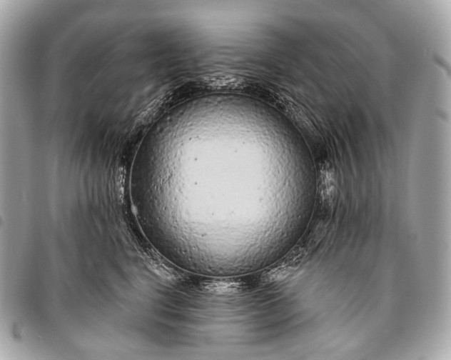 X0000096450664200802071813