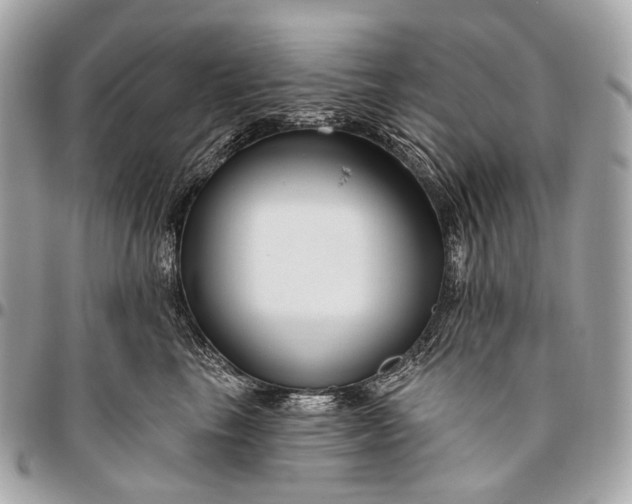 X0000096450665200802071813