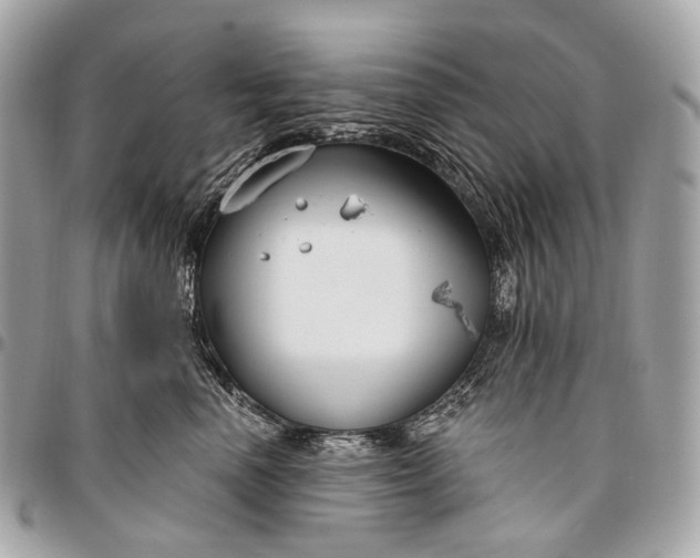 X0000096450666200802071813