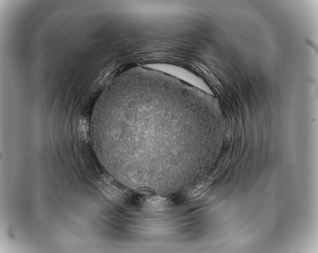 X0000096450669200802071813