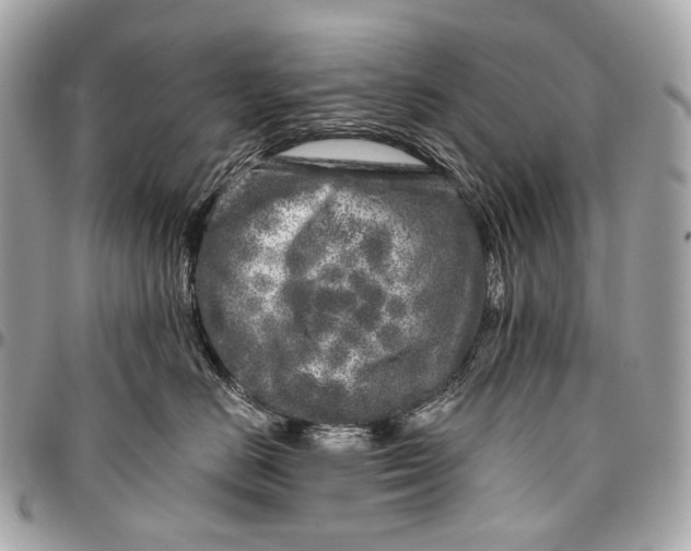 X0000096450670200802071813