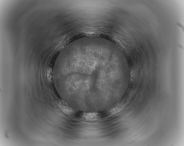 X0000096450671200802071813