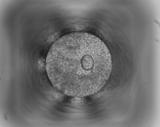 X0000096450672200802071813