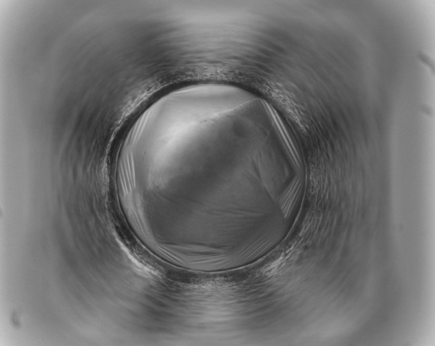 X0000096450674200802071812