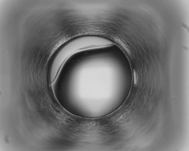 X0000096450675200802071812