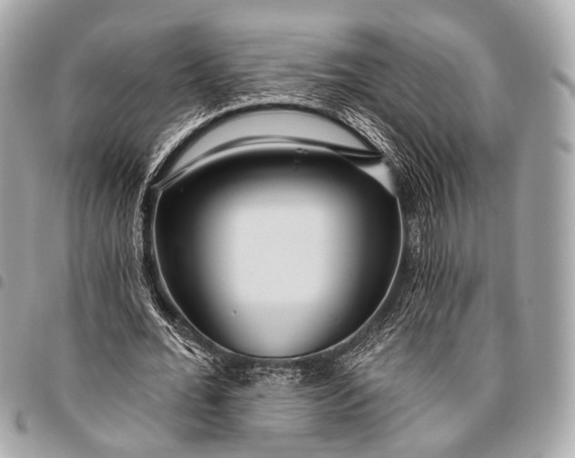 X0000096450676200802071812