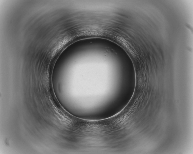 X0000096450677200802071812