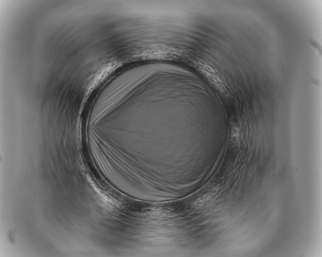 X0000096450678200802071812