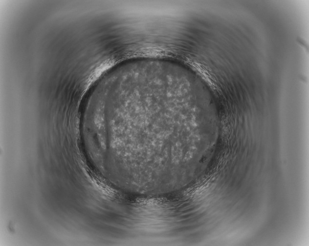 X0000096450679200802071812