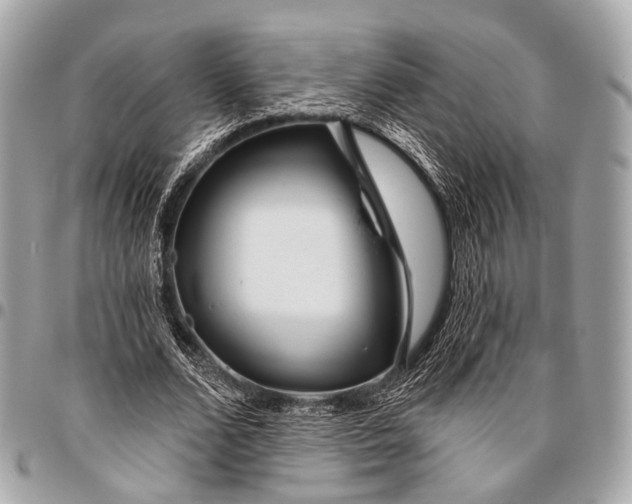 X0000096450680200802071812