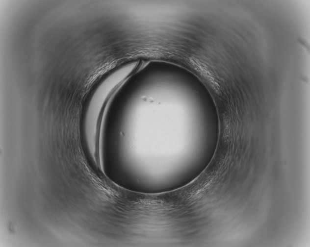 X0000096450681200802071812