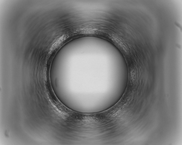 X0000096450682200802071812