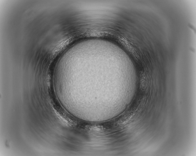 X0000096450683200802071812