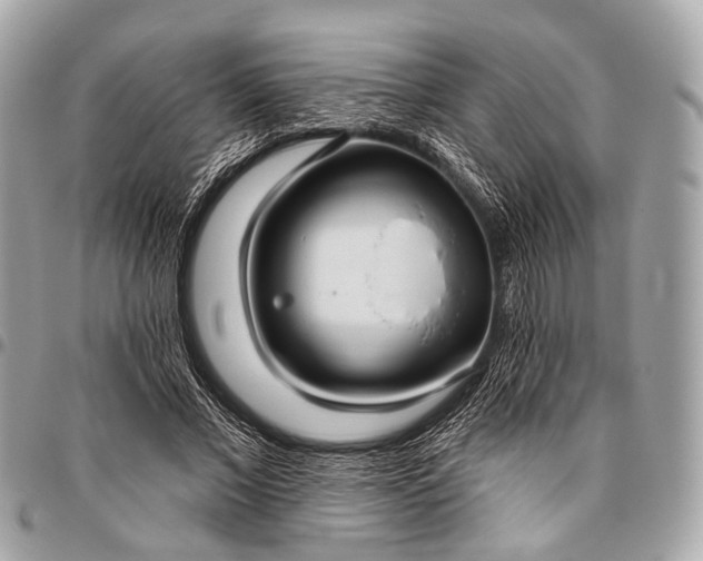 X0000096450685200802071812