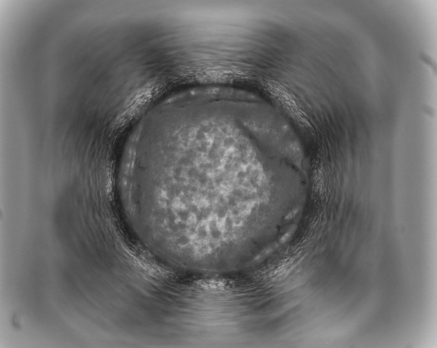 X0000096450687200802071812