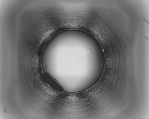 X0000096450688200802071812