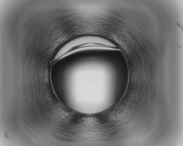 X0000096450689200802071812