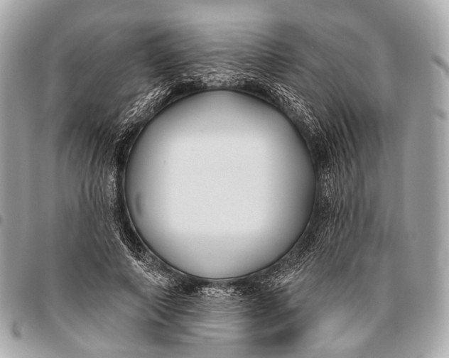 X0000096450690200802071812