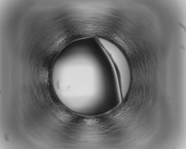 X0000096450693200802071812