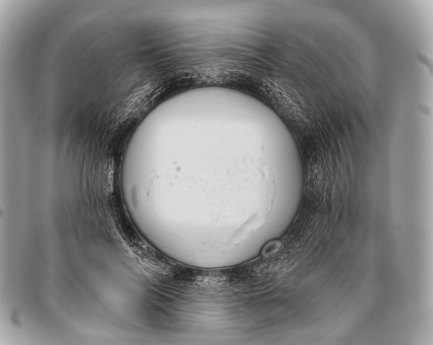 X0000096450694200802071812