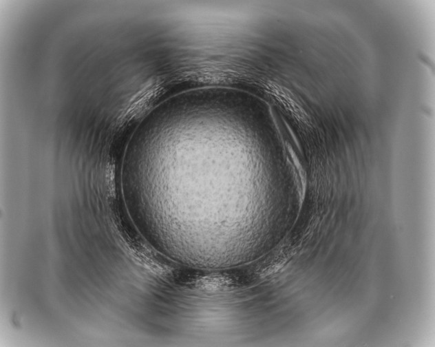 X0000096450696200802071812