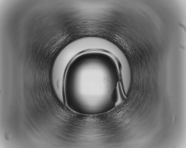 X0000096450697200802071812