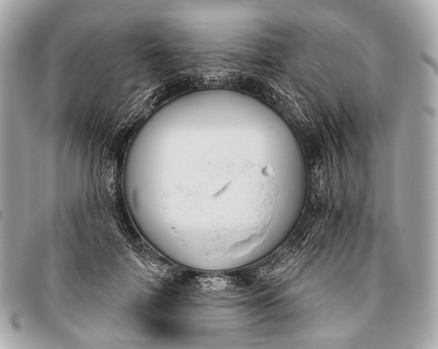 X0000096450698200802071812