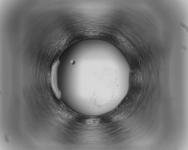 X0000096450700200802071811