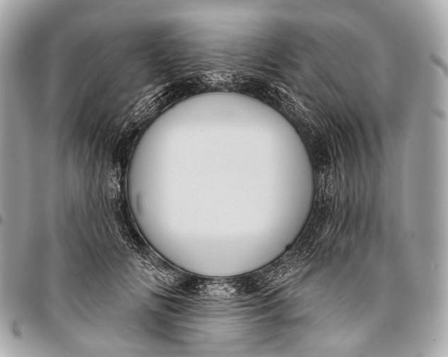 X0000096450702200802071811